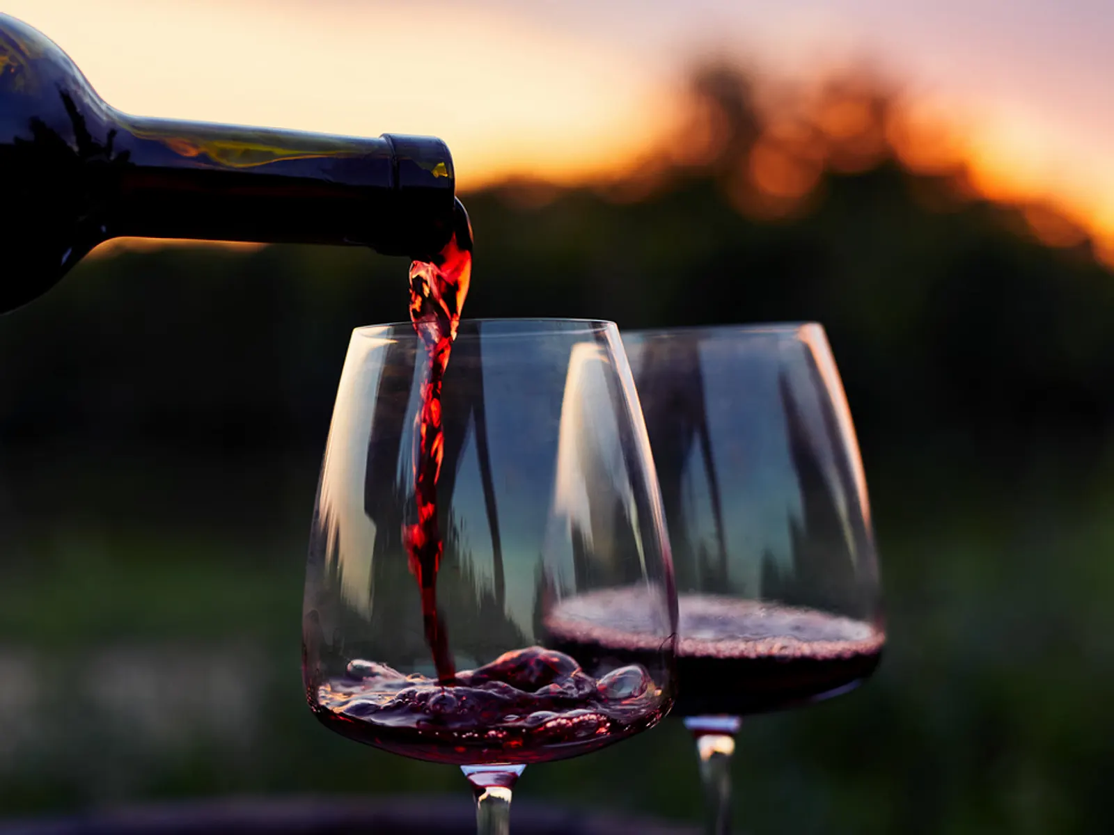 WINE LIBRARY Sales -WINE LIBRARY Sales BEER62