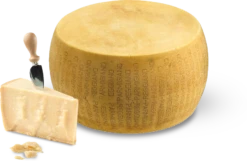 Parmigiano Reggiano Dop | Wine Library