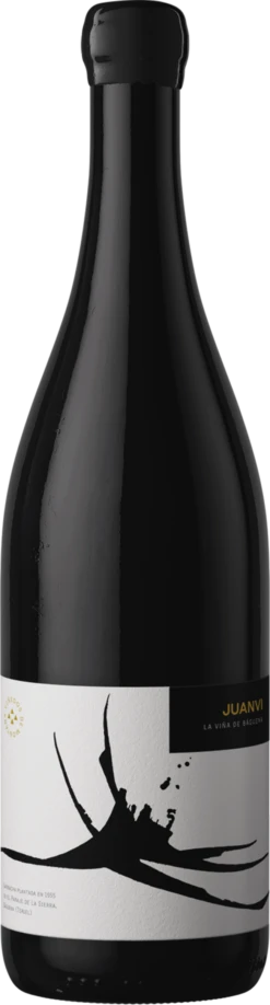2019 Juanvi La Vina De Baguena | Wine Library