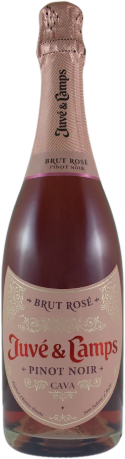 Juve Y Camps Brut Rose | Wine Library